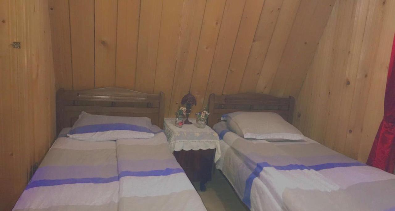 GuestHouse Greenside Bordzjomi Buitenkant foto