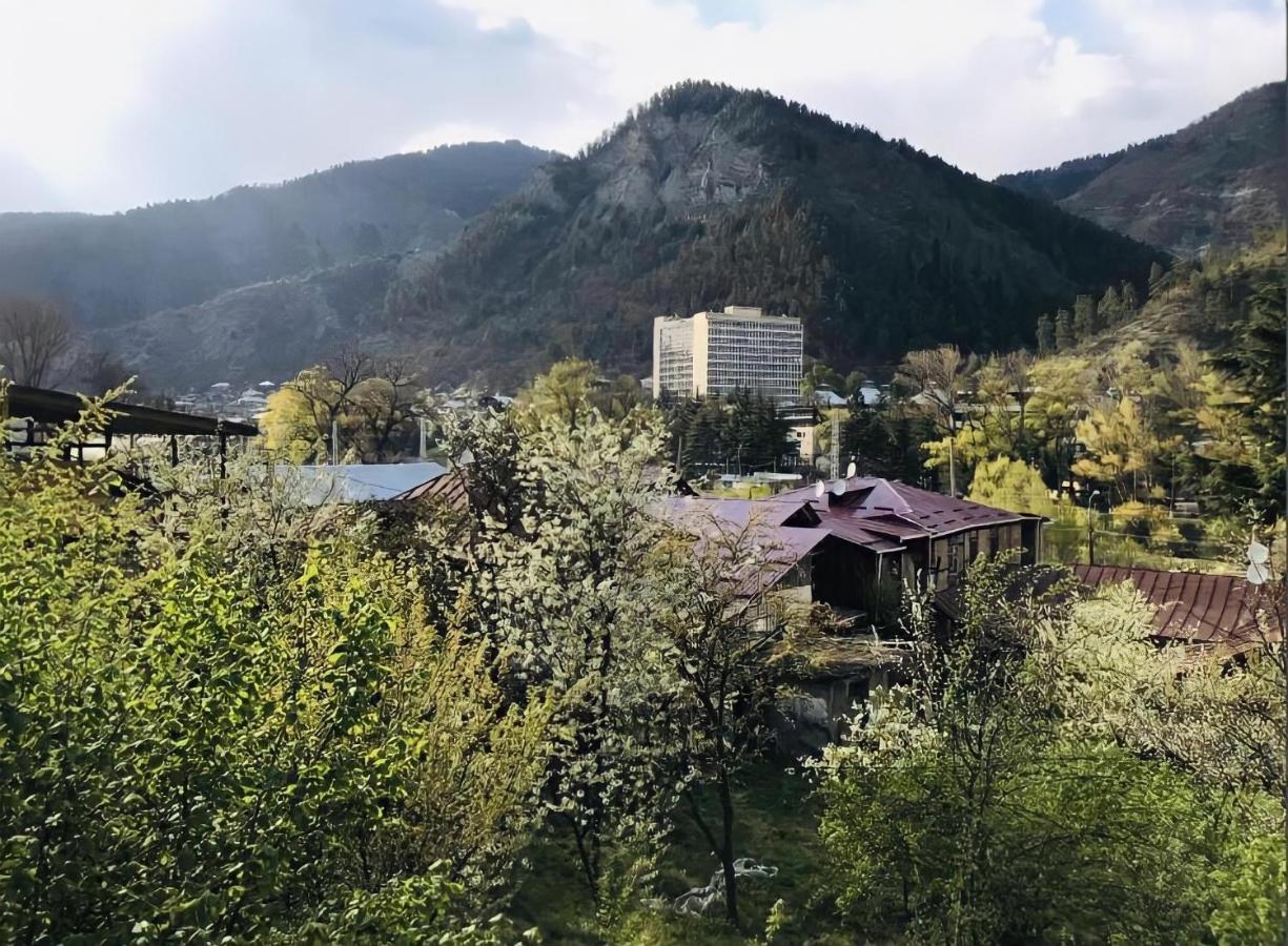 GuestHouse Greenside Bordzjomi Buitenkant foto