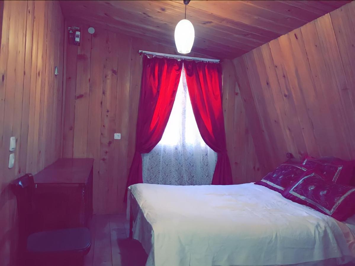 GuestHouse Greenside Bordzjomi Buitenkant foto