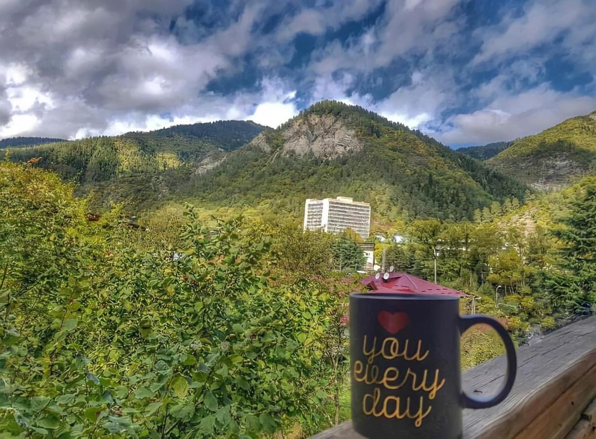 GuestHouse Greenside Bordzjomi Buitenkant foto